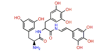 Tunichrome Pm 2